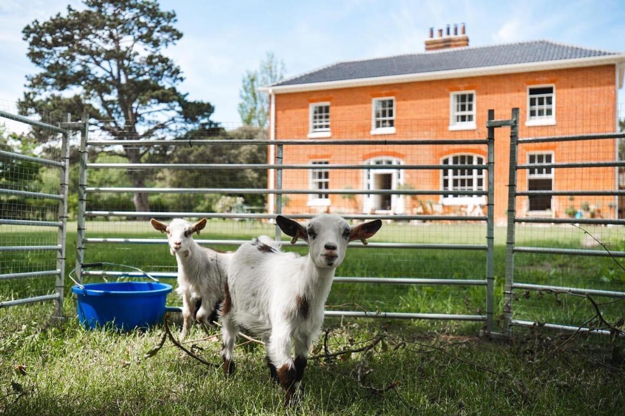 Reymerston Hall Bed & Breakfast Norwich Exterior photo