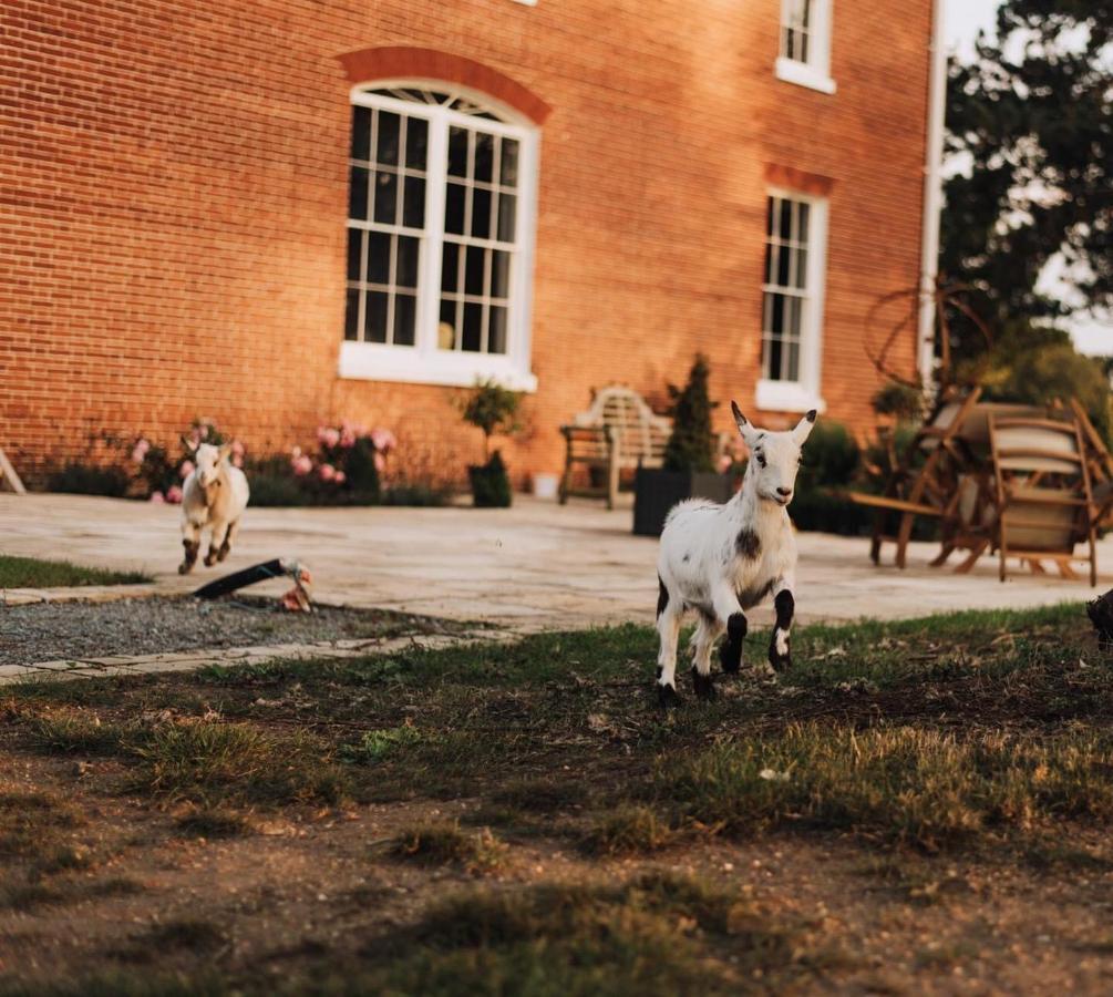 Reymerston Hall Bed & Breakfast Norwich Exterior photo